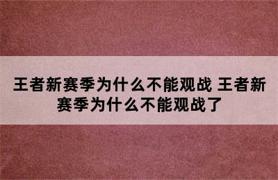 王者新赛季为什么不能观战 王者新赛季为什么不能观战了